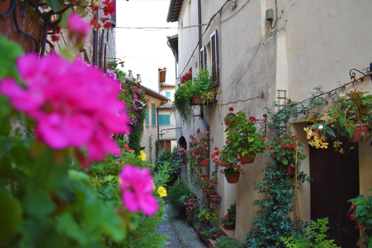 Borgo San Sisto Apartment スペッロ エクステリア 写真
